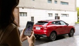 娱乐吃瓜菌人人有苦衷,人人有苦衷，吃瓜菌带你探秘幕后真相